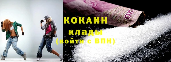 прущие грибы Беломорск