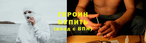 шишки Билибино