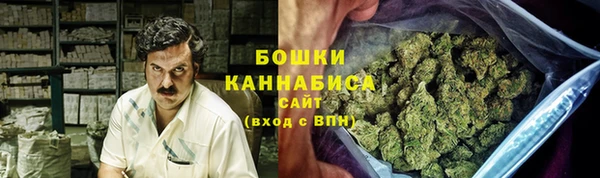 прущие грибы Беломорск