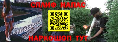 PSILOCYBIN Бийск