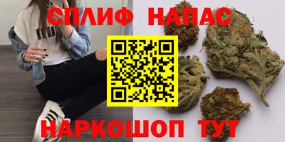 мдпв Беслан