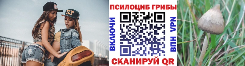omg tor  наркотики  Горячий Ключ  Галлюциногенные грибы ЛСД 