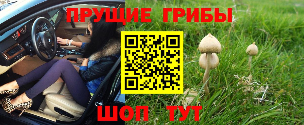 Горячий Ключ  Псилоцибиновые грибы GOLDEN TEACHER  Вход с VPN 